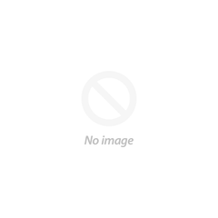 Delivery Icon